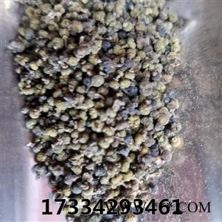 吴茱萸  中花 选货吴萸 茶辣 漆辣子 辣子 臭辣子产地江西赣州图2