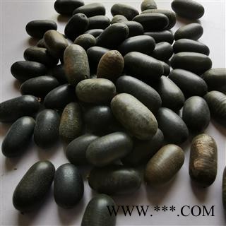 瑞森药材行双肾子 苦石莲子 南蛇藤果图3