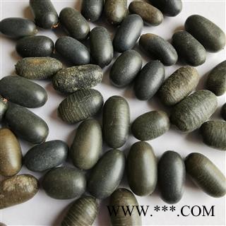 瑞森药材行双肾子 苦石莲子 南蛇藤果图2