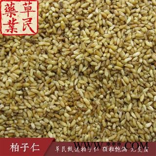 草民甄选柏子仁 脱壳率98%以上 颗粒饱满无变质 专业批发量大从优图4