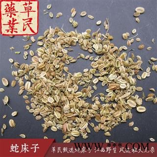 草民甄选蛇床子 江西野生 过风选 粒大无杂 包药检 专业批发量大从优图4