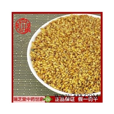 柏子仁精选货 瑞芝堂中药行 品质齐全1000克