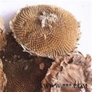 诺源药材行葵盘  向日葵花盘  葵花盘图4