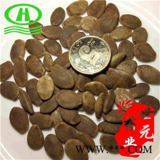 世元药业 双边瓜蒌子  正品双边 瓜蒌籽 瓜蒌仁【全品中药籽类大全】图2