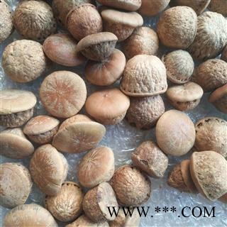 诺源药材行中药材优质风流果 壮阳果 天竺粒图3