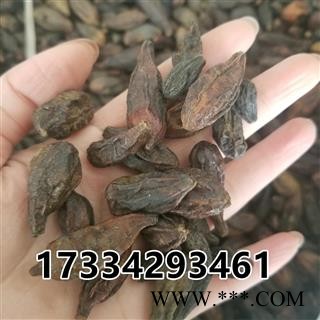 西青果  藏青果 使君子果 嫩诃子图4