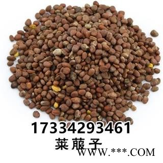 莱菔子 萝卜子 卜子 萝白子 菜头子 中药材图3