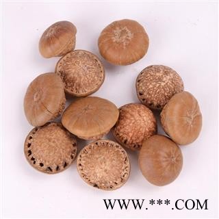 瑞森药材行风流果 厚鳞柯 壮阳果 补肾果 益肾子 马牯 捻碇果 辗垫栗 厚鳞石栎 木栎子 大头椎图3