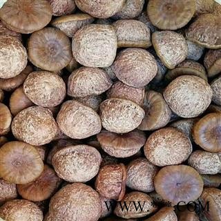 瑞森药材行风流果 厚鳞柯 壮阳果 补肾果 益肾子 马牯 捻碇果 辗垫栗 厚鳞石栎 木栎子 大头椎图2