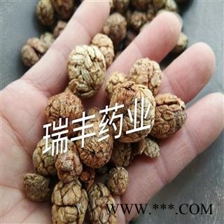 草豆蔻 统装 产地 云南省图3