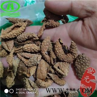 世元药业 荔枝壳 荔枝皮 荔枝果皮 荔壳图2