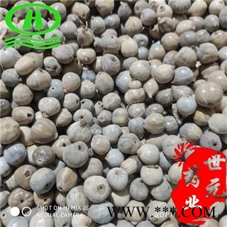世元药业 草珠子 别称 草珠儿 木禾 苤 马泻 桴苡 解 回回米 薏珠子 川谷 菩提子 观音籽 停扣子 汀扣子 五谷子 佛珠子 草菩提图2