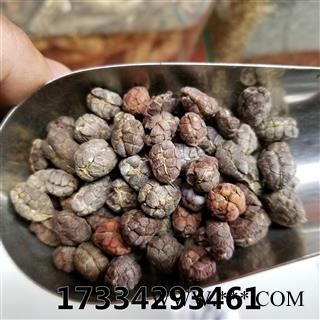 砂仁米 砂仁 去壳 统货 缩砂仁 缩砂蜜 缩砂蔤图3