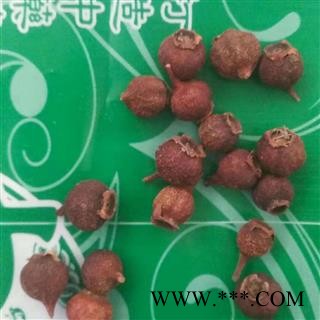 瑞森药材行玫瑰果 刺枚果 刺莓果 刺木果 山刺玫 刺梨子图4