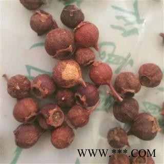 瑞森药材行玫瑰果 刺枚果 刺莓果 刺木果 山刺玫 刺梨子图2