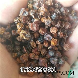 五味子西五味南五味子图4