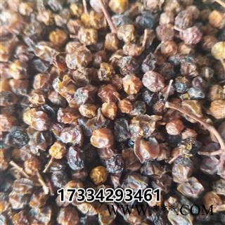 五味子西五味南五味子图3