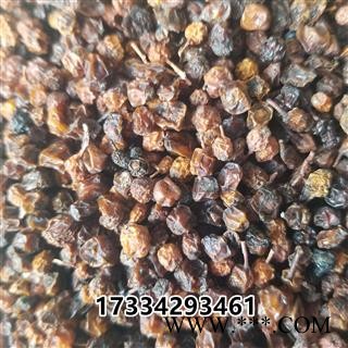 五味子西五味南五味子图2