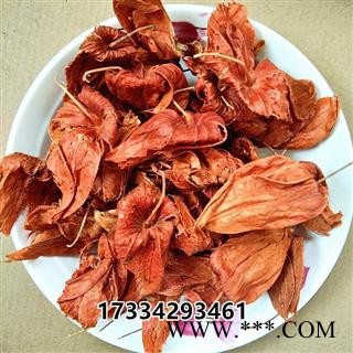 中药材  干酸浆 山姑娘 挂金灯 灯笼草 灯笼果 洛神珠 泡泡草 鬼灯 菇蔫儿 红姑娘干皮图4