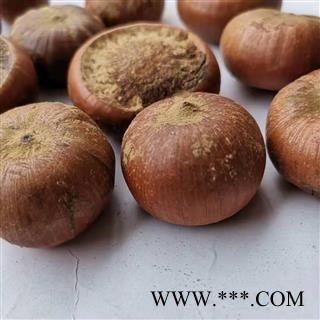 瑞森药材行 风流果 补肾果 产地 广西壮族自治区图2