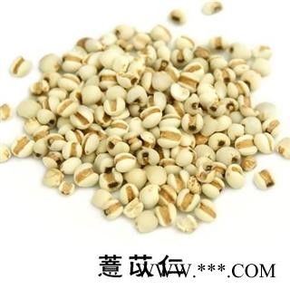 小薏米 小苡米薏苡仁薏米仁薏仁米苡仁图2