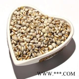 小薏米 小苡米薏苡仁薏米仁薏仁米苡仁图3