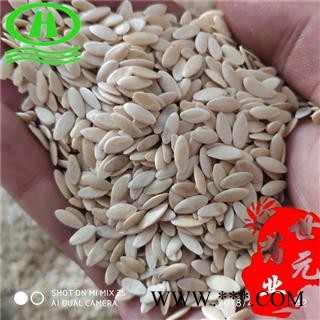 世元药业 黄瓜子 新货 黄瓜籽 正品 伪品为甜瓜子图2