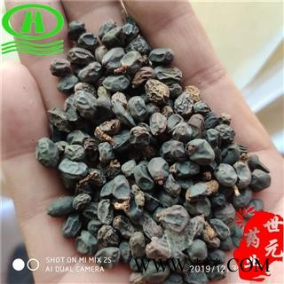 世元药业 冬青子 正品药效好 冬青实 冻青树子图2
