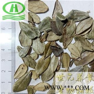 世元药业 越橘叶 熊果叶 正品 新货 促销图2