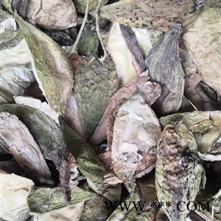 诺源药材行中药材 天浆壳 萝摩荚 哈喇瓢 赖瓜瓢 天将壳图3