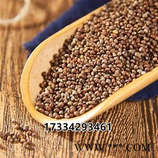 中药材沙苑子 潼蒺藜 夏黄草 沙宛子 沙苑子茶图3