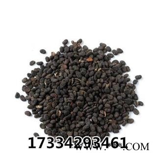 补骨脂  胡韭子 破故纸 黑故子 中药材供应图3