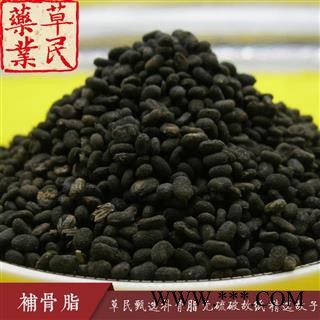 草民甄选补骨脂 无硫破故纸 精选故子 药典全检 专业批发量大从优图3