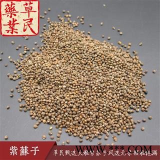 草民甄选紫苏子 大粒紫苏 风选无杂 颗粒饱满 专业批发量大从优图2