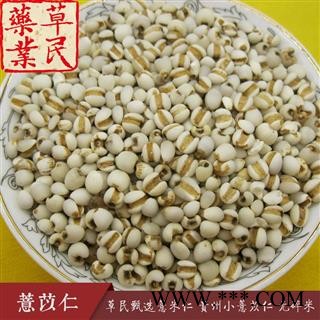 草民甄选薏米仁 贵州小薏苡仁 98薏仁米 无碎米 专业批发量大从优图3