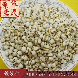 草民甄选薏米仁 贵州小薏苡仁 98薏仁米 无碎米 专业批发量大从优图2