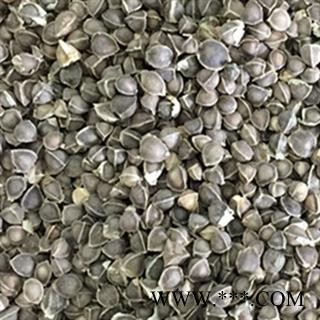 辣木籽 包邮  印度 进口辣木籽 产地 海外图3