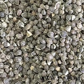 辣木籽 包邮  印度 进口辣木籽 产地 海外图2