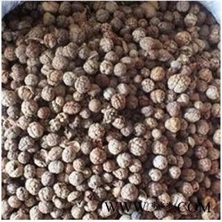 草豆蔻  草豆蔻 草寇 草扣 海南山姜 小草蔻 土砂仁  海南 产地 广西壮族自治区图2