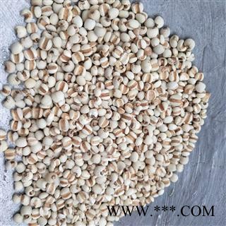 薏苡仁 薏仁 小粒 小玉米  产地 福建省图4