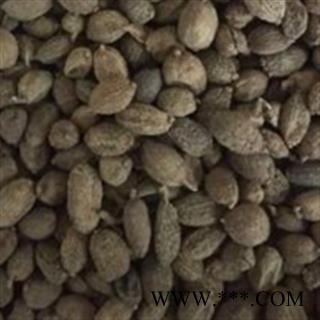 砂仁 壳砂仁统货图2