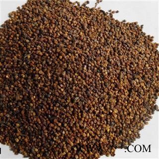 菟丝子 菟丝子水洗统货 产地 宁夏回族自治区图2