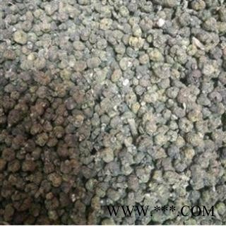 吴茱萸 吴茱萸中花选货 产地 江西省赣州市图3