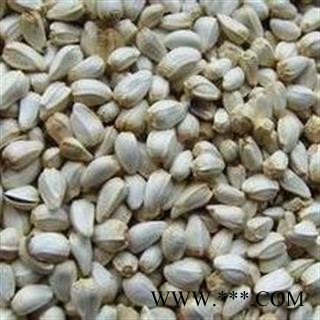 红花子 选 产地 今年新货 无虫蛀霉变 新疆维吾尔自治区图2