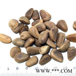 九盛堂中药材 海松子 药用松子图4
