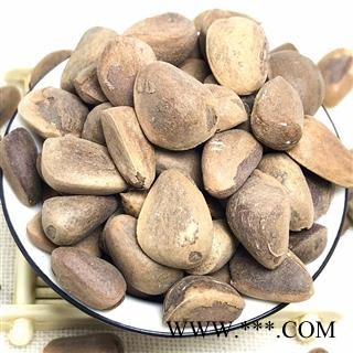 九盛堂中药材 海松子 药用松子图2