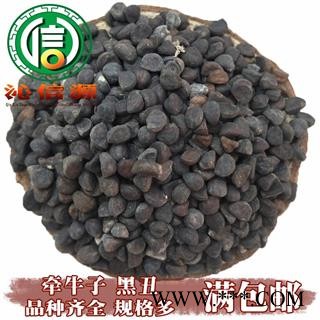【满包邮】黑牵牛子黑丑选货散装山东产地直供黑白丑沁信源中药批发图1