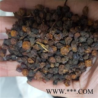 小丽百草行五味子西五味南五味子实物拍摄图2