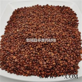 正品 酸枣仁 98货 产地 山东省  华美中药 产地直销 重在品质图4