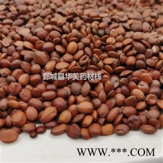 正品 酸枣仁 98货 产地 山东省  华美中药 产地直销 重在品质图2